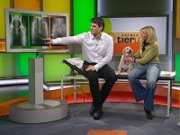 Video Bremer Tierladen, HD - Fr�herkennung und Therapie